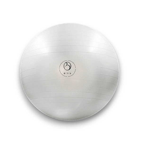 כדור פיזיו 65